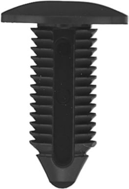 DV_ZoomOriginal_I_KT11532.jpg