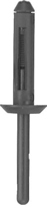 DV_ZoomOriginal_I_KT11577.jpg