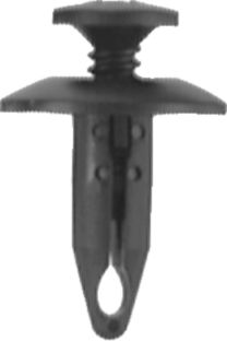 DV_ZoomOriginal_I_KT11629.jpg