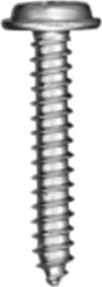 DV_ZoomOriginal_I_KT11666.jpg