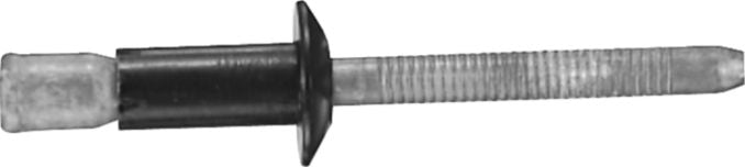 DV_ZoomOriginal_I_KT11678.jpg