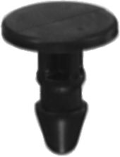 DV_ZoomOriginal_I_KT11685.jpg