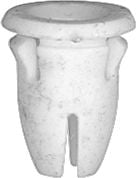 DV_ZoomOriginal_I_KT12338.jpg