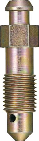 DV_ZoomOriginal_I_KT12505.jpg