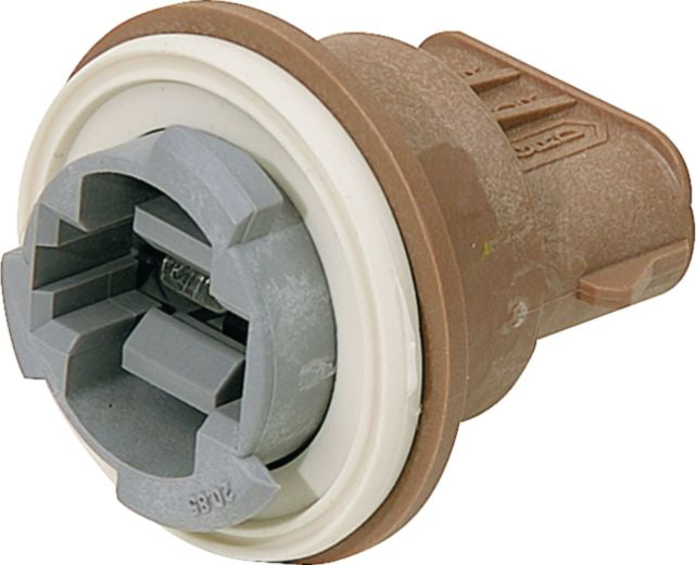 DV_ZoomOriginal_I_KT12662.jpg