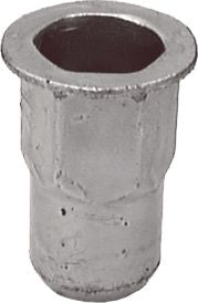 DV_ZoomOriginal_I_KT12695.jpg