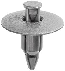 DV_ZoomOriginal_I_KT12794.jpg