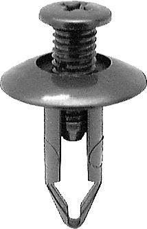 DV_ZoomOriginal_I_KT12846.jpg
