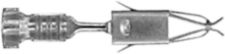 DV_ZoomOriginal_I_KT12877.jpg