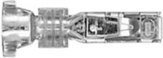 DV_ZoomOriginal_I_KT12895.jpg