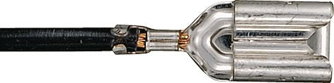 DV_ZoomOriginal_I_KT12916.jpg