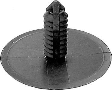 DV_ZoomOriginal_I_KT13450.jpg