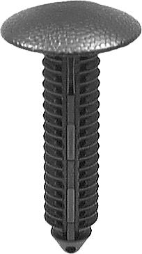 DV_ZoomOriginal_I_KT13458.jpg