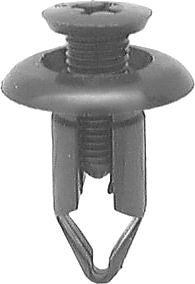 DV_ZoomOriginal_I_KT13503.jpg