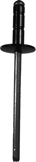 DV_ZoomOriginal_I_KT13534.jpg