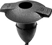 DV_ZoomOriginal_I_KT13560.jpg