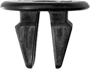 DV_ZoomOriginal_I_KT13577.jpg
