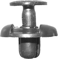 DV_ZoomOriginal_I_KT13586.jpg