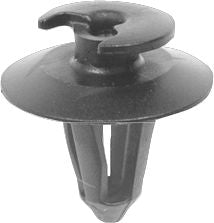 DV_ZoomOriginal_I_KT13689.jpg