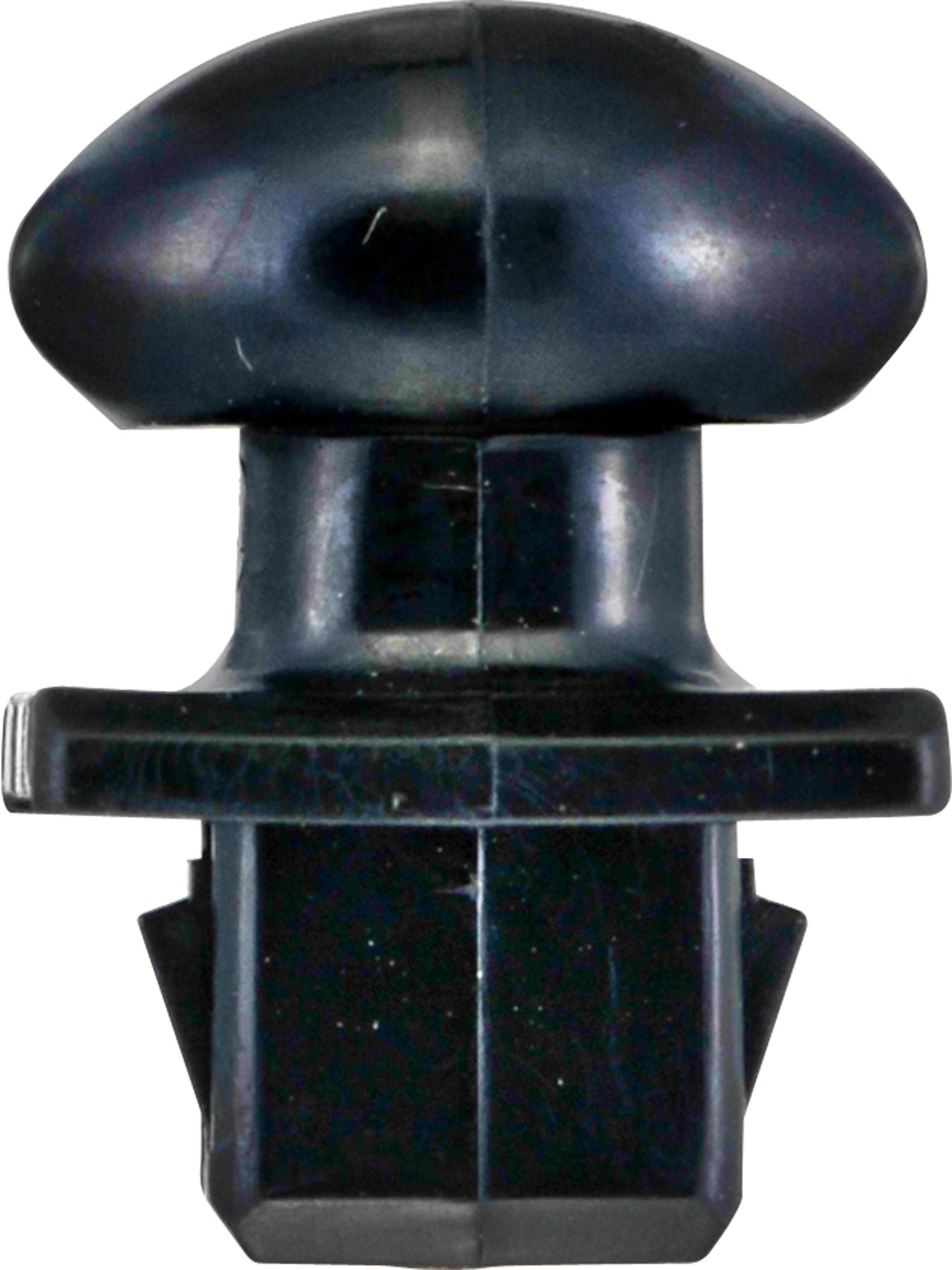 DV_ZoomOriginal_I_KT13794.jpg