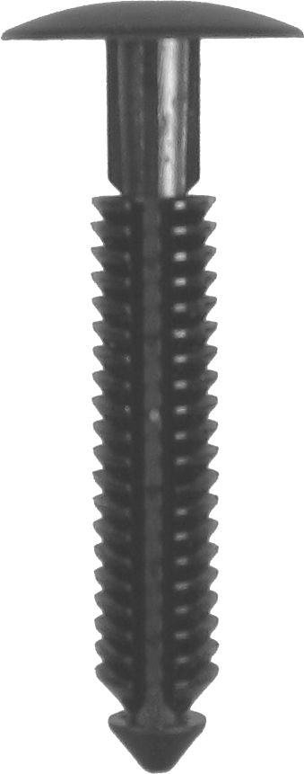 DV_ZoomOriginal_I_KT13990.jpg