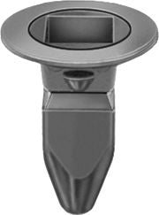 DV_ZoomOriginal_I_KT14383.jpg