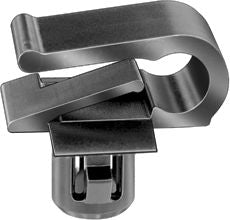 DV_ZoomOriginal_I_KT14390.jpg