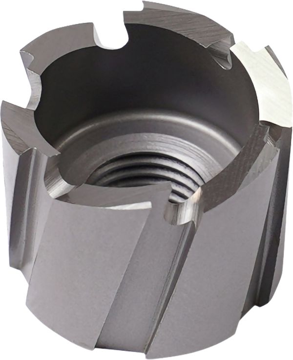 DV_ZoomOriginal_I_PM08210407.jpg