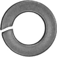 DV_ZoomOriginal_P_1676.jpg