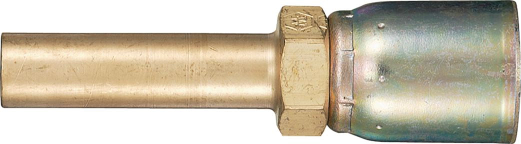 DV_ZoomOriginal_P_19045.jpg
