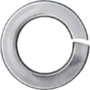 DV_ZoomOriginal_P_1955.jpg