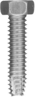 DV_ZoomOriginal_P_1958.jpg