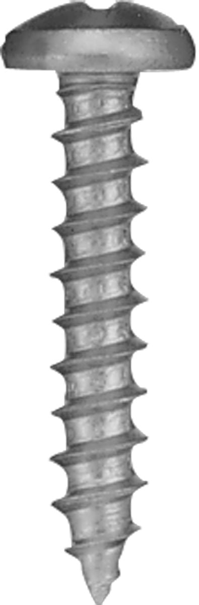 DV_ZoomOriginal_P_22024.jpg