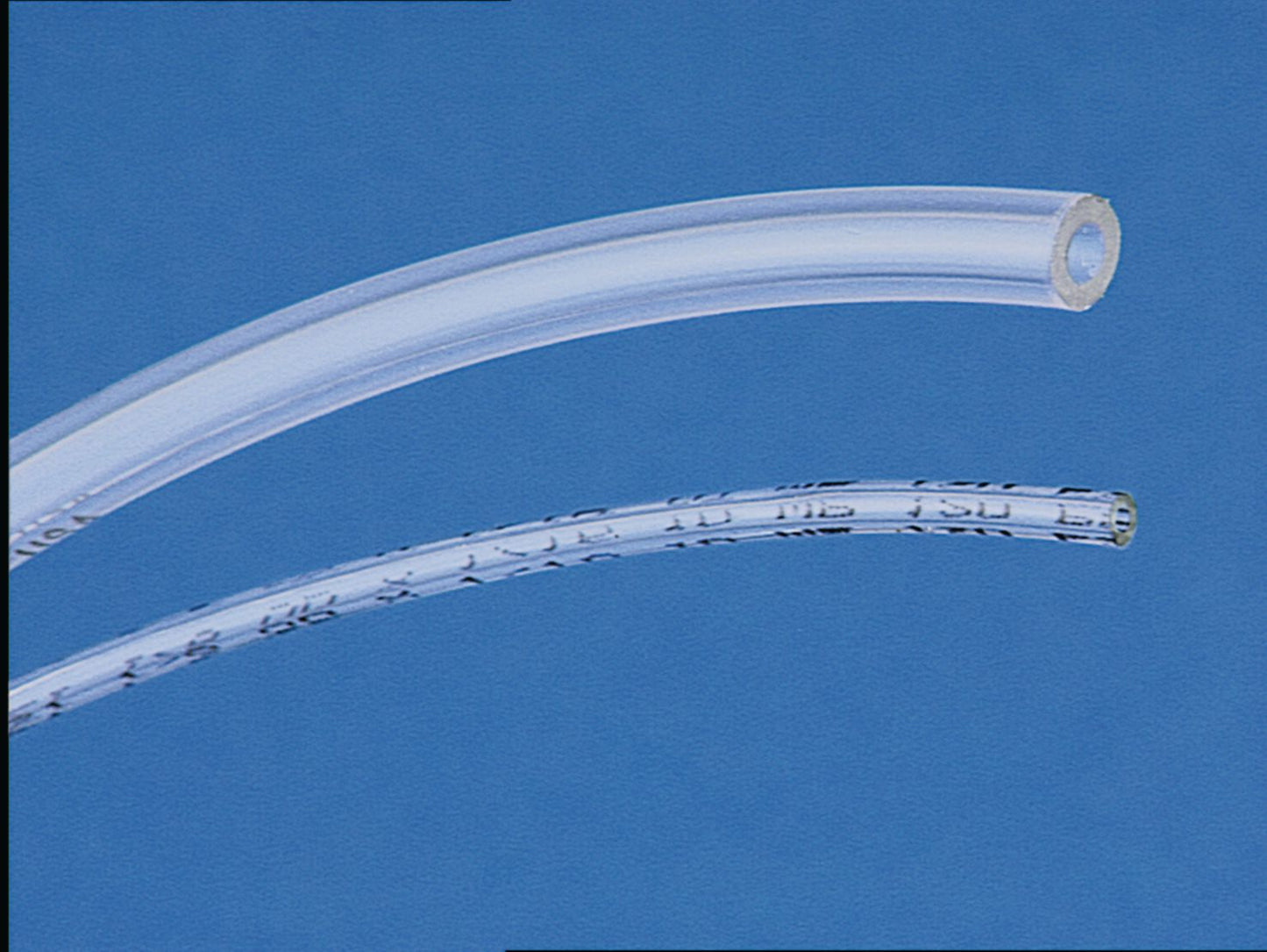 DV_ZoomOriginal_P_2915.jpg
