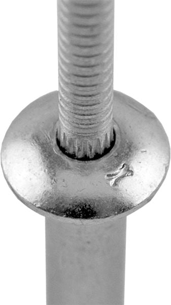DV_ZoomOriginal_P_30781_CP2.jpg
