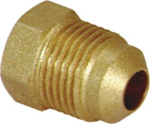 DV_ZoomOriginal_P_30893.jpg