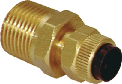 DV_ZoomOriginal_P_30970.jpg