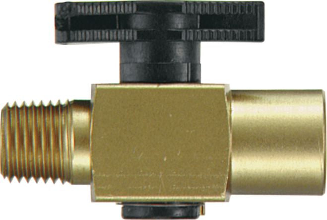 DV_ZoomOriginal_P_30980.jpg