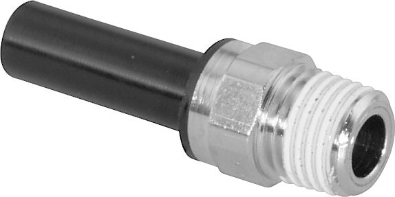 DV_ZoomOriginal_P_31787.jpg