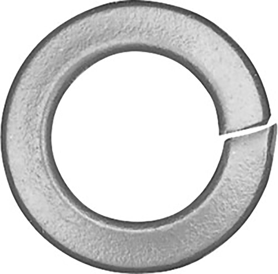 DV_ZoomOriginal_P_32670.jpg