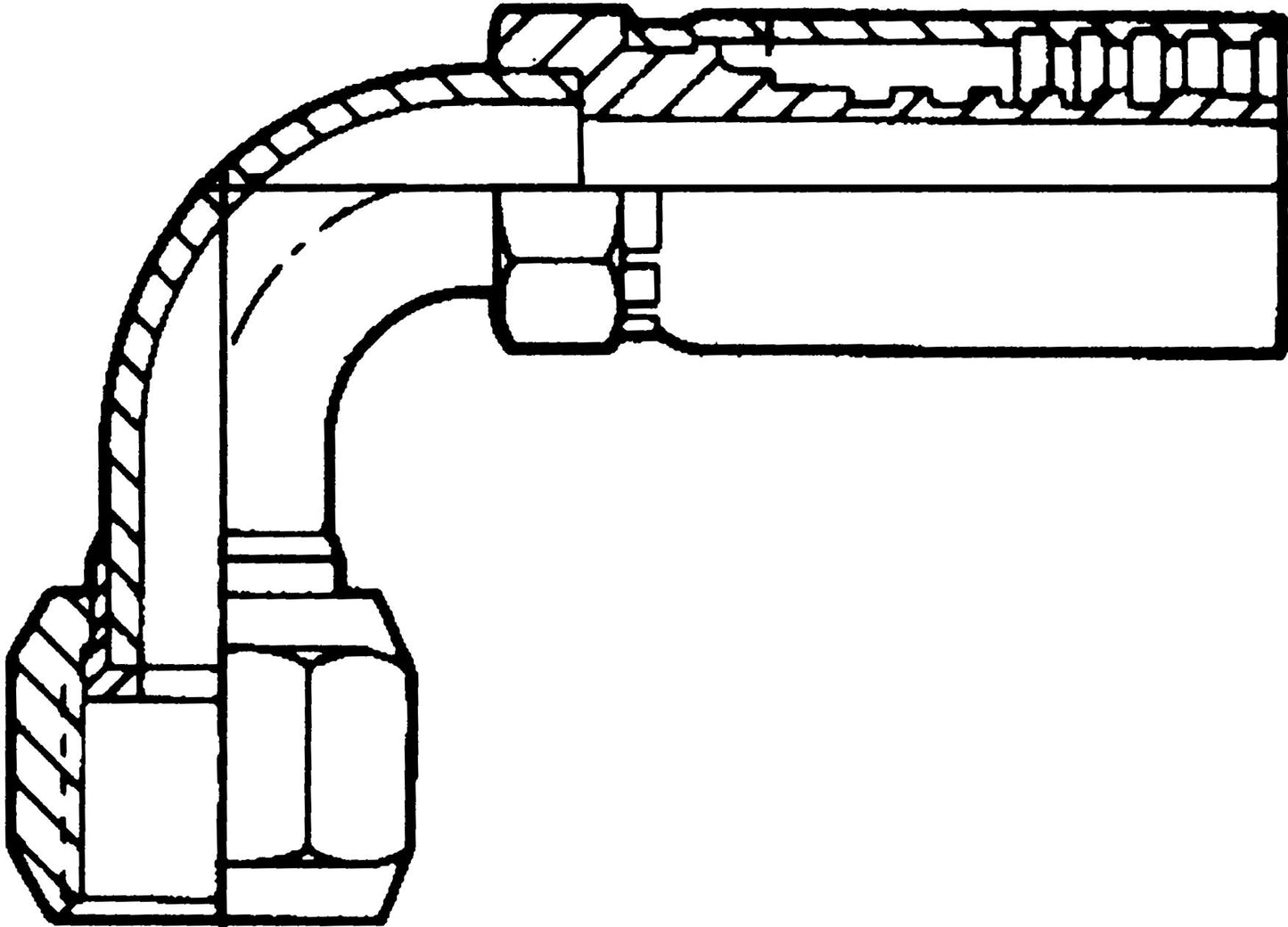 DV_ZoomOriginal_P_35300.jpg