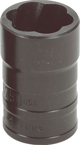 DV_ZoomOriginal_P_37521.jpg