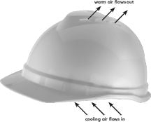 DV_ZoomOriginal_P_38358_LD1.jpg