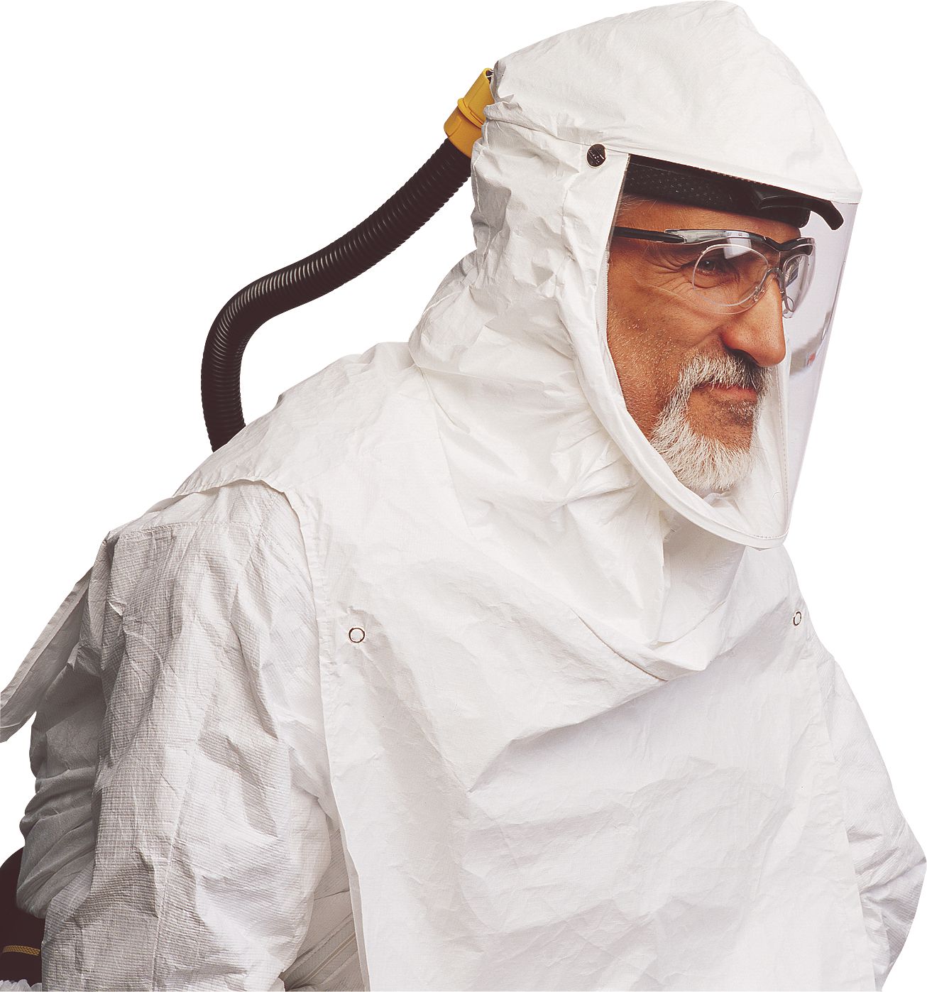 DV_ZoomOriginal_P_38473.jpg