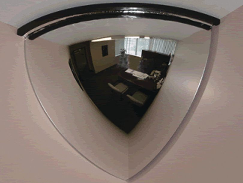 DV_ZoomOriginal_P_40113.jpg