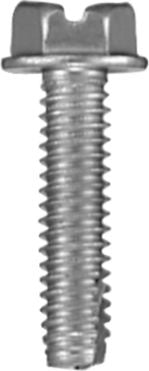 DV_ZoomOriginal_P_492.jpg