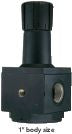DV_ZoomOriginal_P_5007_LD4.jpg