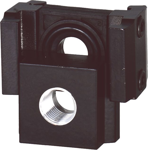 DV_ZoomOriginal_P_5038.jpg