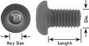 DV_ZoomOriginal_P_526_LD1.jpg
