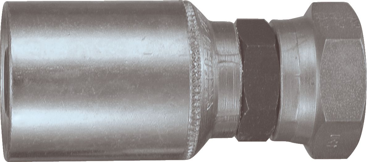 DV_ZoomOriginal_P_6136.jpg